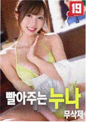 雾中来客剧集海报